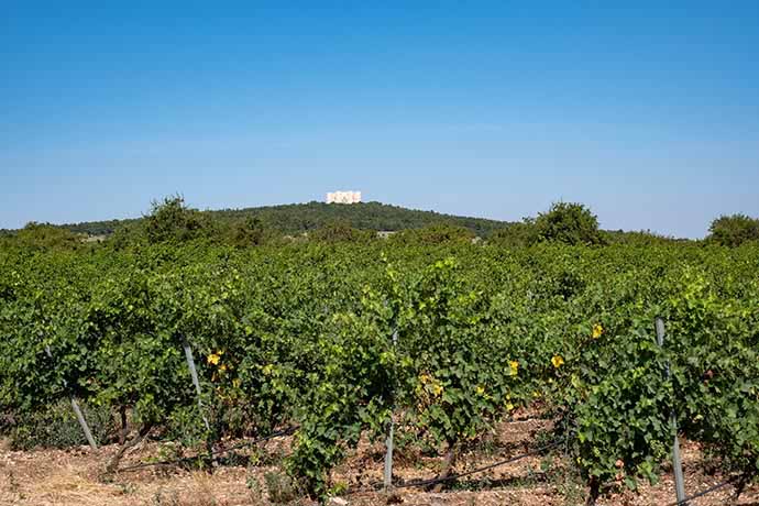 Castel del Monte